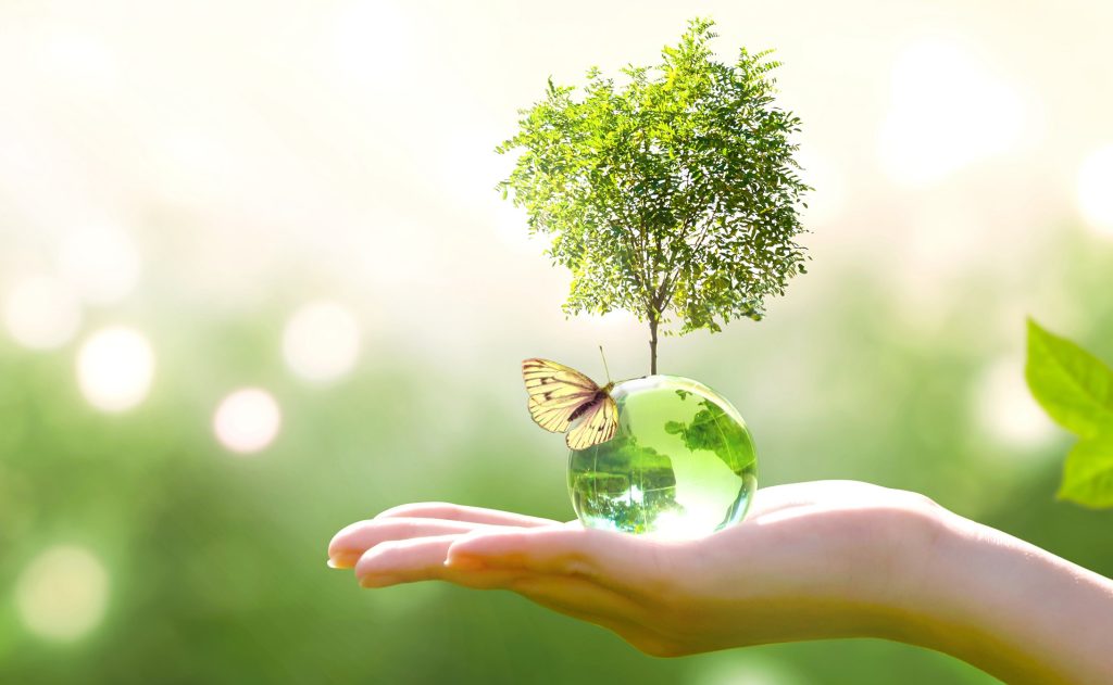 Earth,Crystal,Glass,Globe,Ball,And,Growing,Tree,In,Human Sustainable IT Solutions